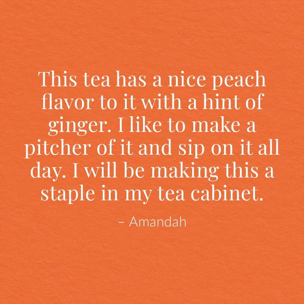 Ginger Peach Black Large Iced Tea Pouches - Image 7