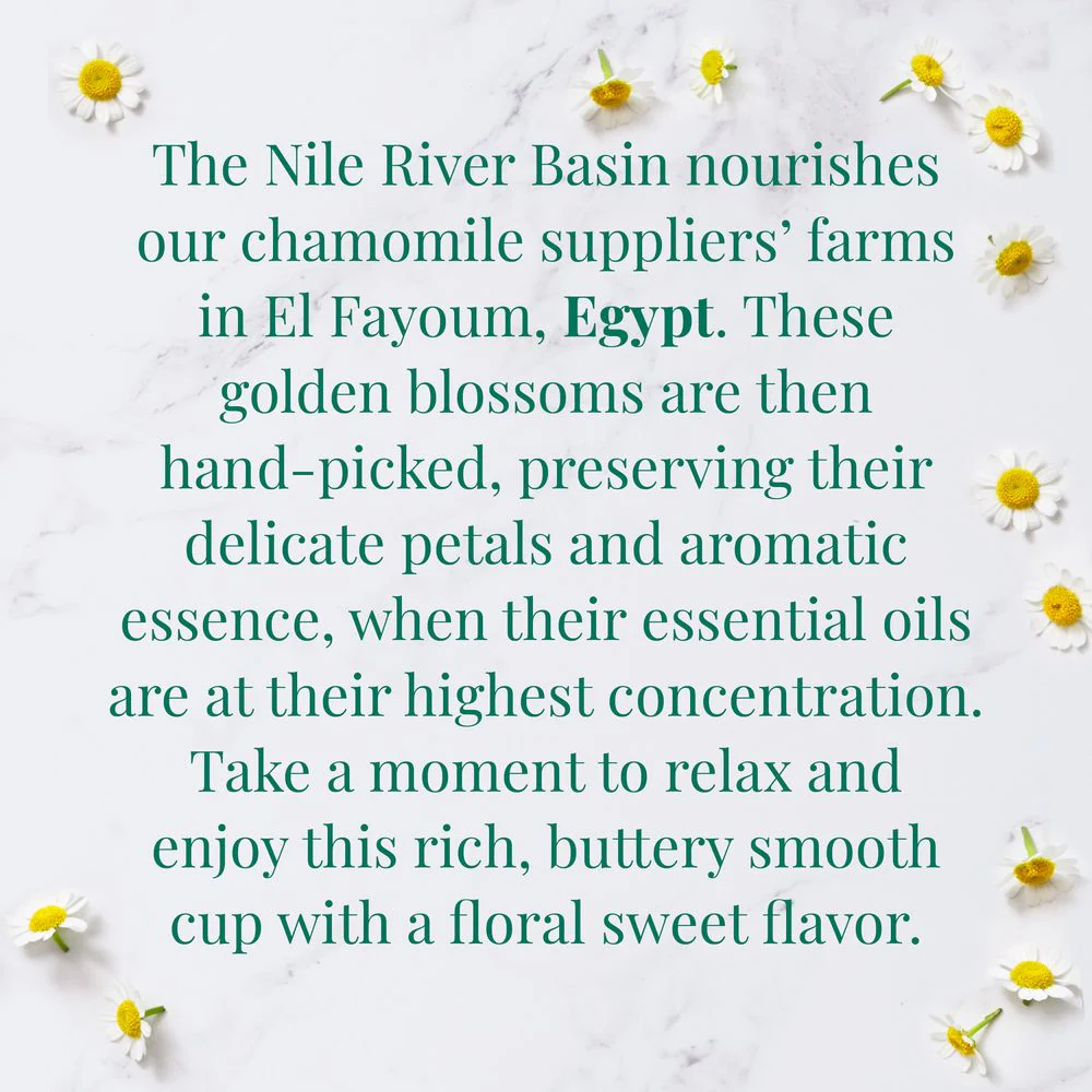Organic Egyptian Chamomile SuperHerbĀ® Herbs of Origin Tea Bags - Image 4
