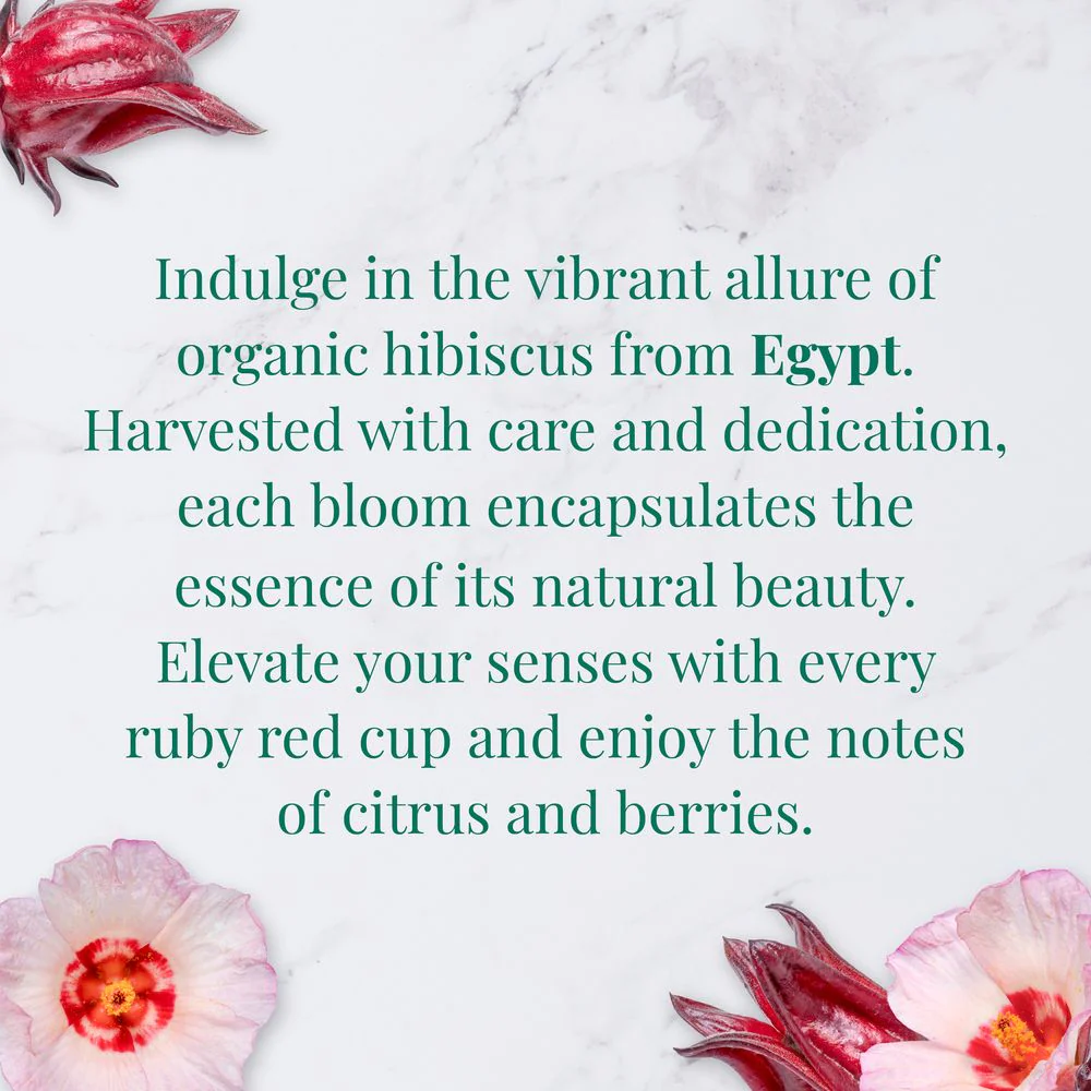 Organic Egyptian Hibiscus SuperHerb® Herbs of Origin Tea Bags - Image 3