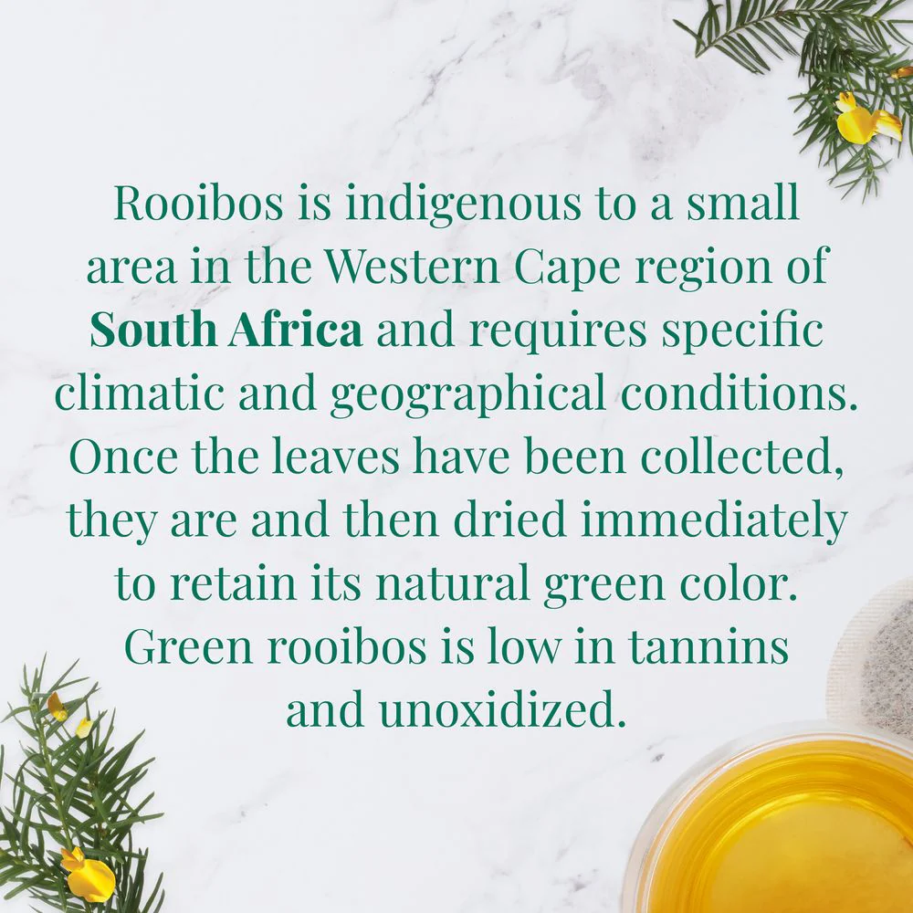 Organic South African Green Rooibos SuperHerb® Herbs of Origin Tea Bags - Image 4