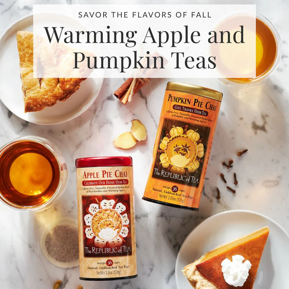 Pumpkin Pie Chai Herbal Tea Bags - Image 4