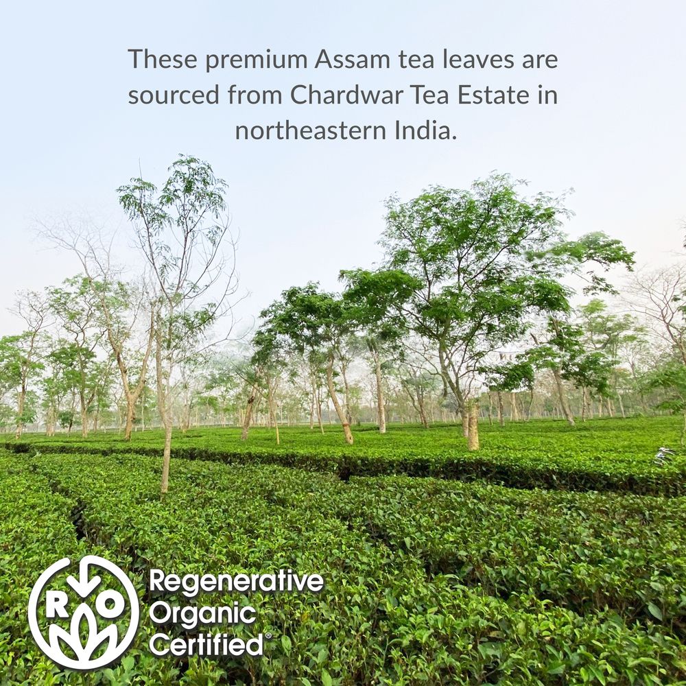 Regenerative Organic Certified® Assam Black Tea Bags - Image 4