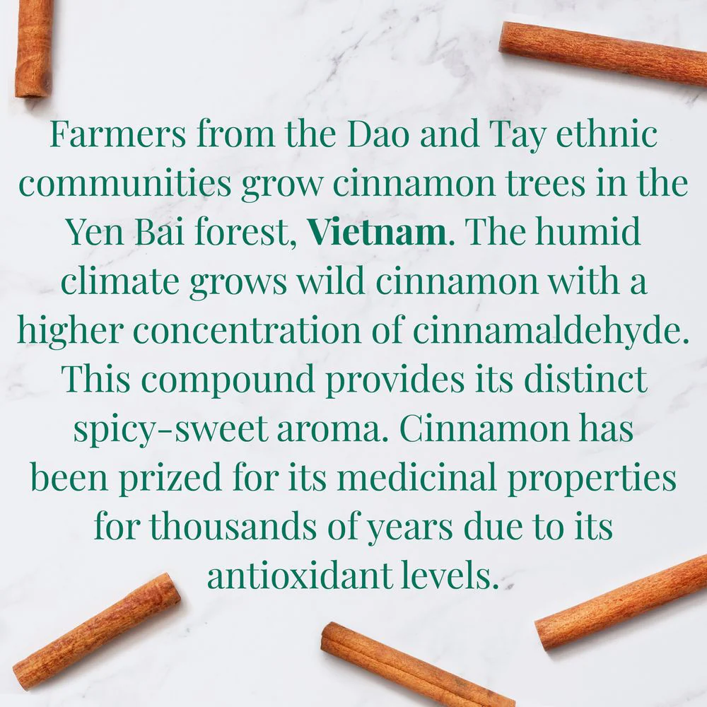 Organic Vietnamese Cinnamon SuperHerbĀ® Herbs of Origin Tea Bags - Image 4